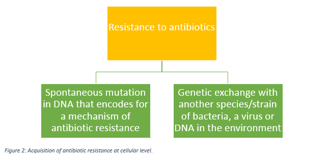 Figure 2: Acquisition of antibiotic resistance at cellular level.