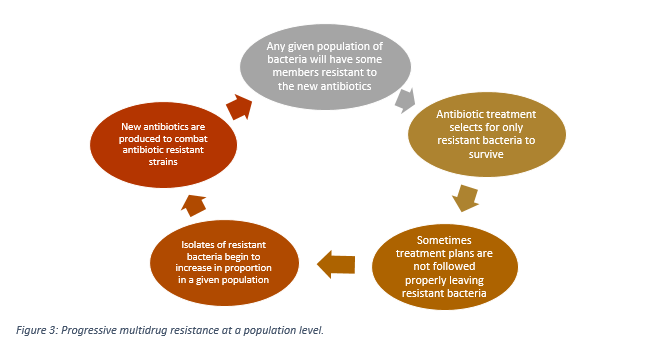 Figure 3: Progressive multidrug resistance at a population level.